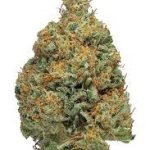 Blue berry