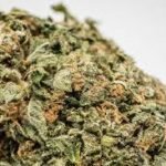 Bruce Banner