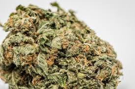 Bruce banner