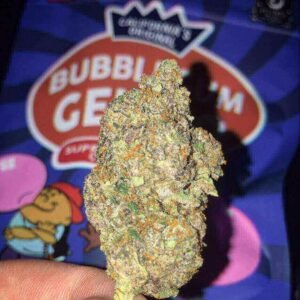 Bubblegum gelato weed strain