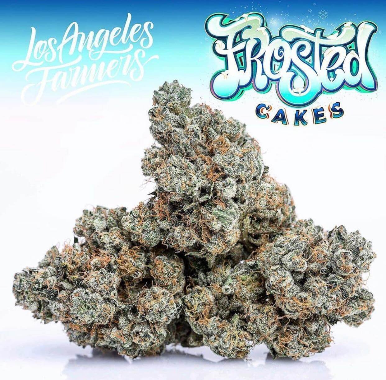 Frosted cakes jungleboys