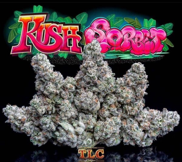 Kush sorbet jungleboys