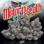 Motor Breath Jungleboys
