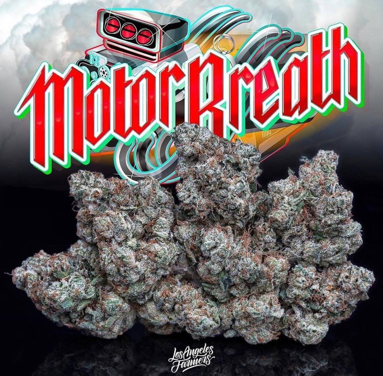 Motor breath jungleboys