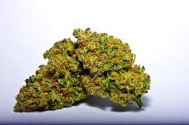 Sour patch strain