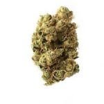 Super Silver Haze