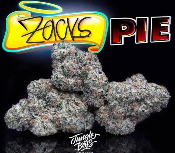 Zack pie jungleboys 