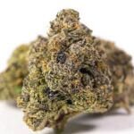 Sfv OG Kush Marijuana Strain On Sale