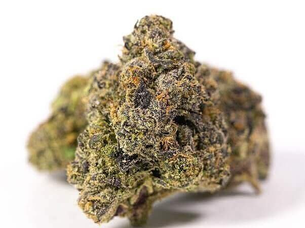 Sfv og kush marijuana strain on sale