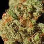LA Confidential