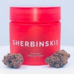 Buy sherbinskis marijuana Strain