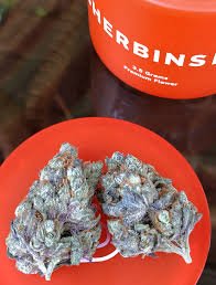 Buy sherbinskis marijuana strain online now