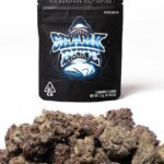 shark bite strain on sale now at exotic Cannabis Shop