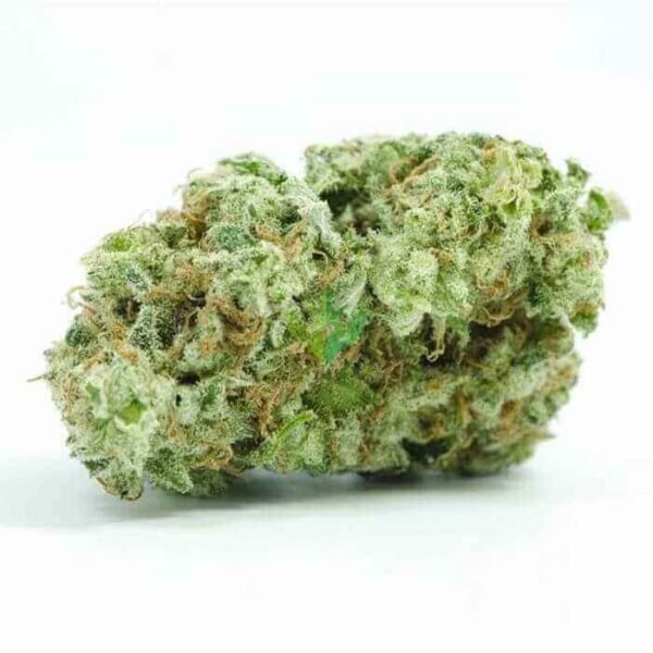 Buy cannatonic strain