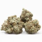buy Gorilla cookies strain