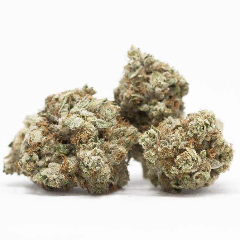 Gorilla-Cookies-Weed-Strain Buy gorilla cookies strain
