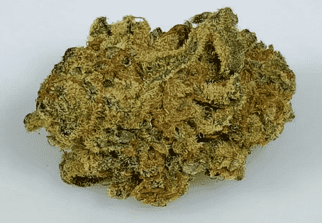 Granddaddy purple weed