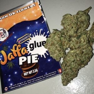 Jaffa glue pie strain