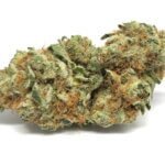 Mr Nice Weed