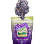 Platinum Lemon Cherry Gelato Strain review