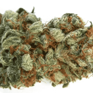 Strawberry cough strain