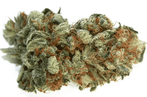 Strawberry cough strain