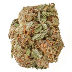 Purple haze strain