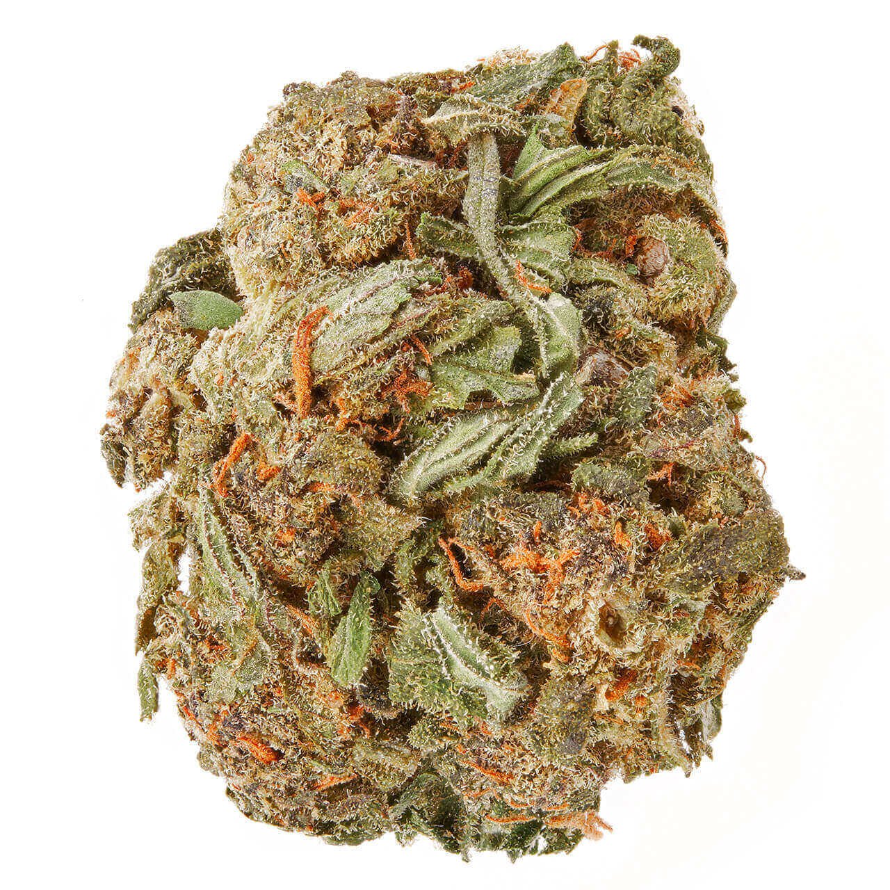 Buy-Purple-Haze-Strain Purple haze strain