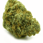 Gelato Weed Strain