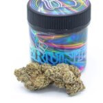 gruntz weed strain