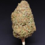 Guava Haze Strain