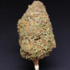 Guava haze strain