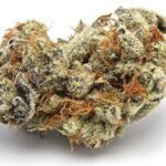 Cookies and Cream Strain
