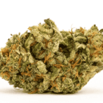 Northern Lights Weed