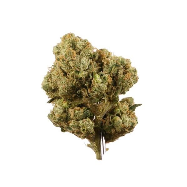 Sour diesel weed strain