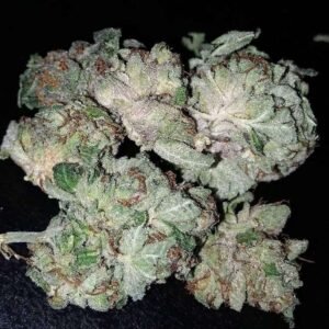 White widow strain
