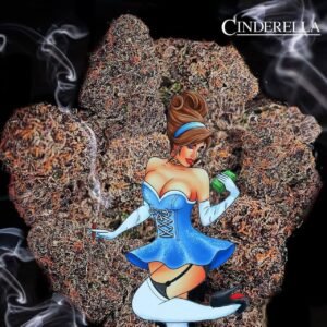 Trufflez cinderella strain