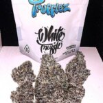 White truffle strain