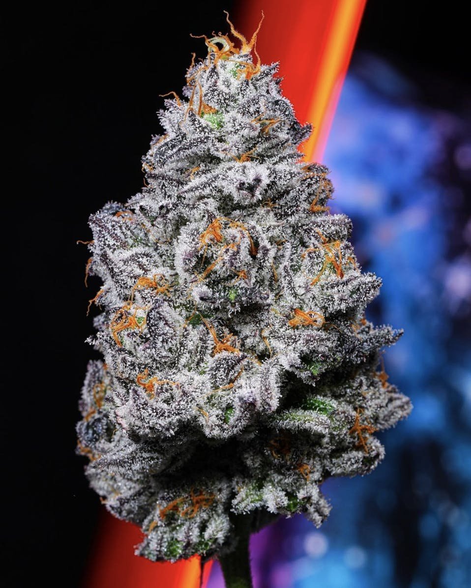 Kryptochronic alien labs