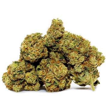 Acapulco gold strain exotic cannabis online shop