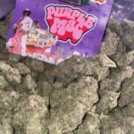 purple mac strain