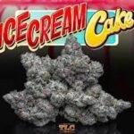 Ice Cream Cake strain