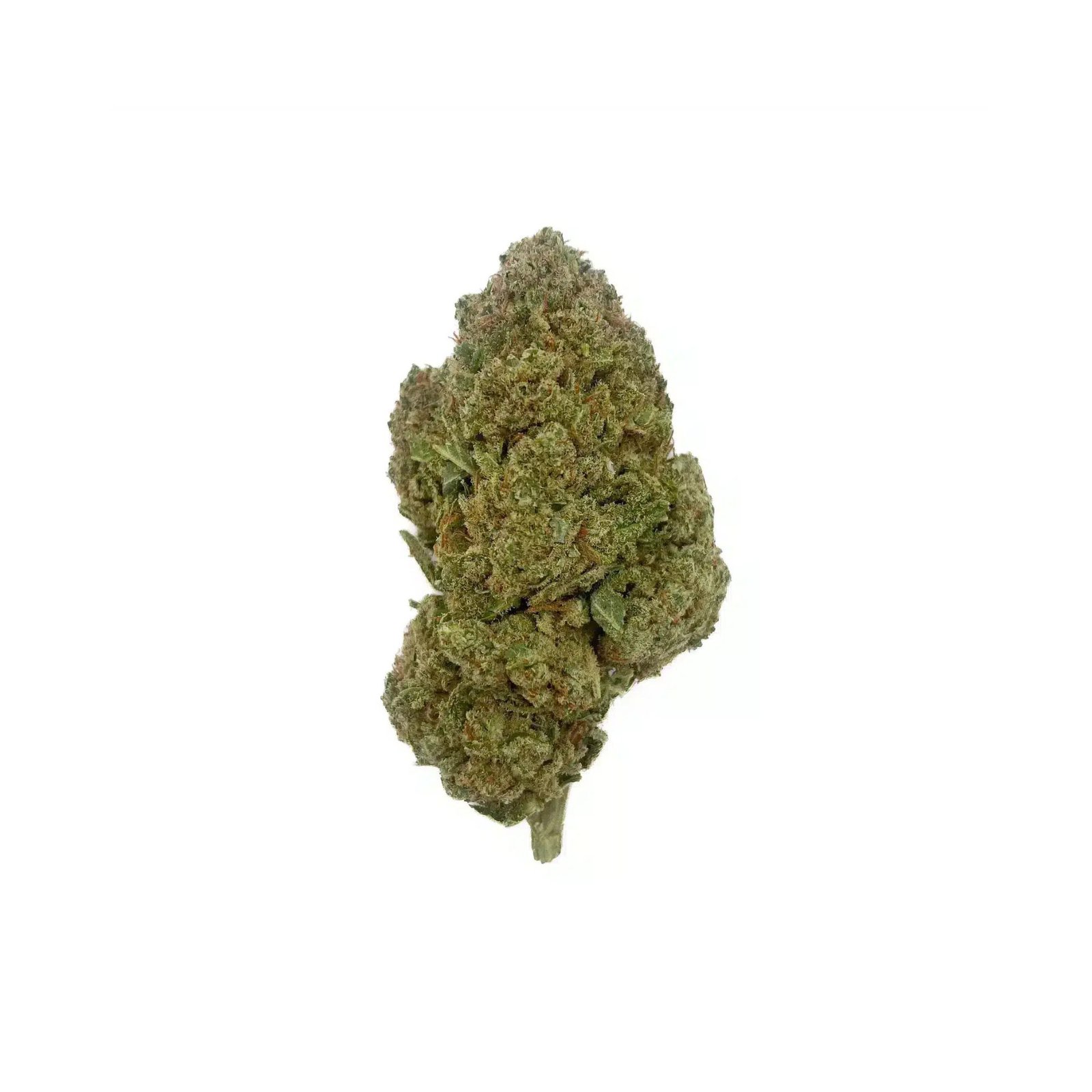Critical kush 2. 0 hydro exotic cannabis online shop