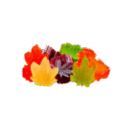 Mix Bonbons H4CBD 25mg/pc (10pc)