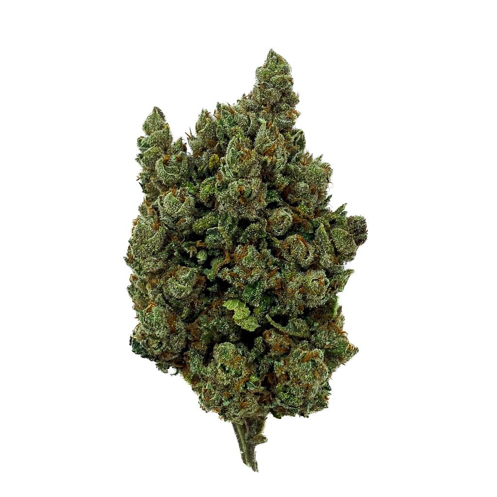 Orange sherbet indoor exotic cannabis online shop