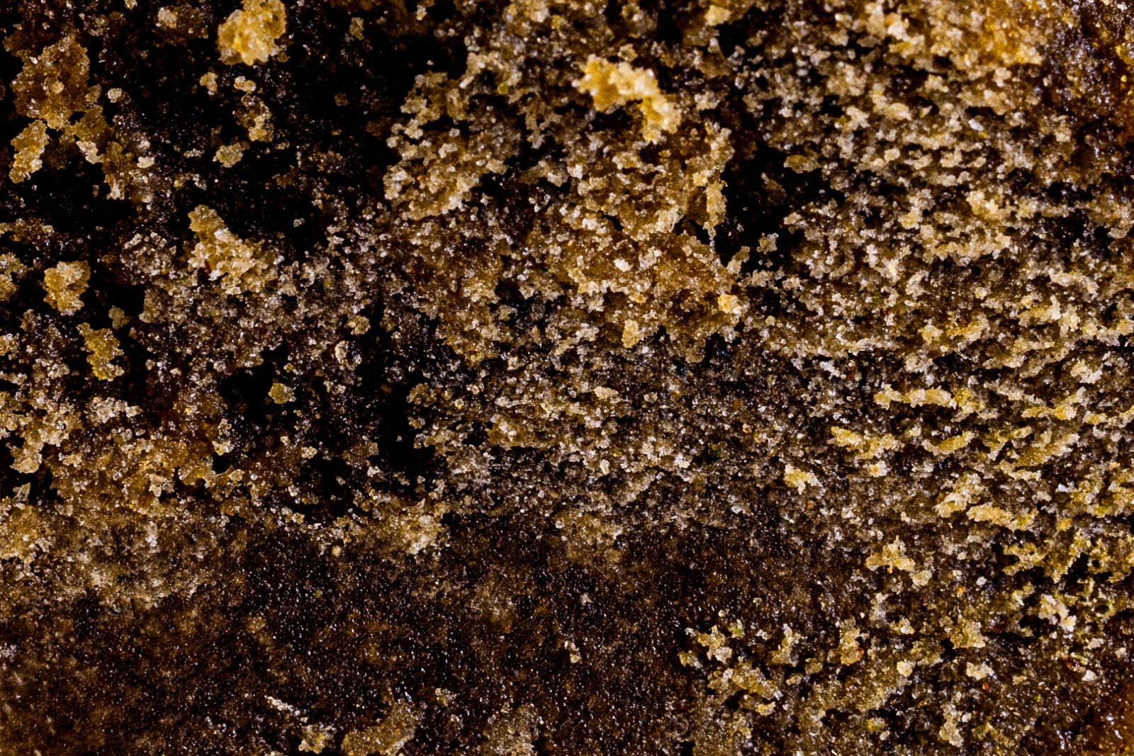 Résine de cbd / cbn piatella exotic cannabis online shop