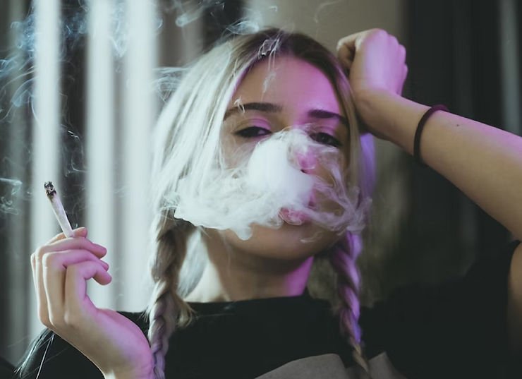 White Truffle Strain Exotic Cannabis Online Shop What are the common white truffle strain effects