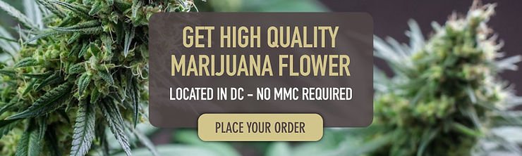 White Truffle Strain Exotic Cannabis Online Shop Ad banner