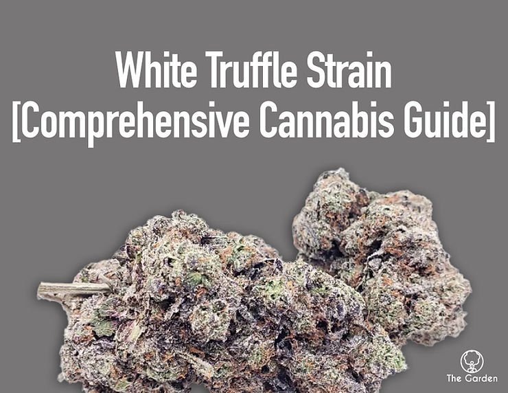 White Truffle Strain Exotic Cannabis Online Shop White truffle strain