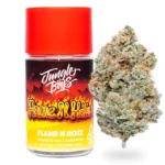 Jungle Boys | Flame N Hotz – 3.5g Flower
